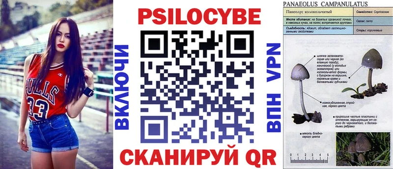 что такое   Сольвычегодск  Галлюциногенные грибы Psilocybe 